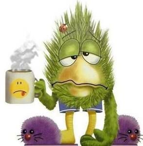 Meet your Posher, Tracy